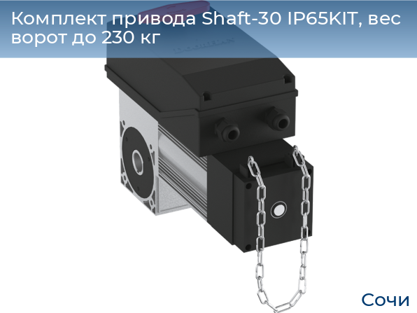 Комплект привода Shaft-30 IP65KIT, вес ворот до 230 кг, sochi.doorhan.ru