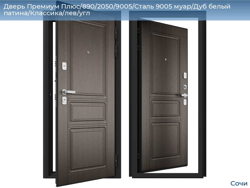 Дверь Премиум Плюс/890/2050/9005/Сталь 9005 муар/Дуб белый патина/Классика/лев/угл, sochi.doorhan.ru
