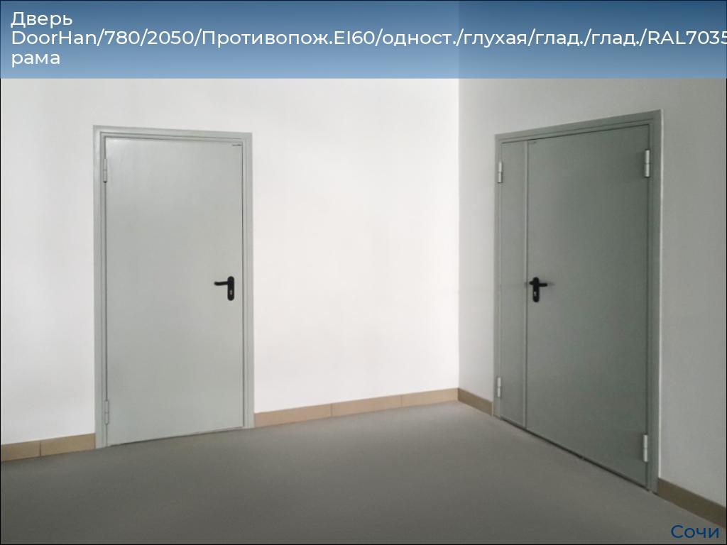 Дверь DoorHan/780/2050/Противопож.EI60/одност./глухая/глад./глад./RAL7035/прав./угл. рама, sochi.doorhan.ru