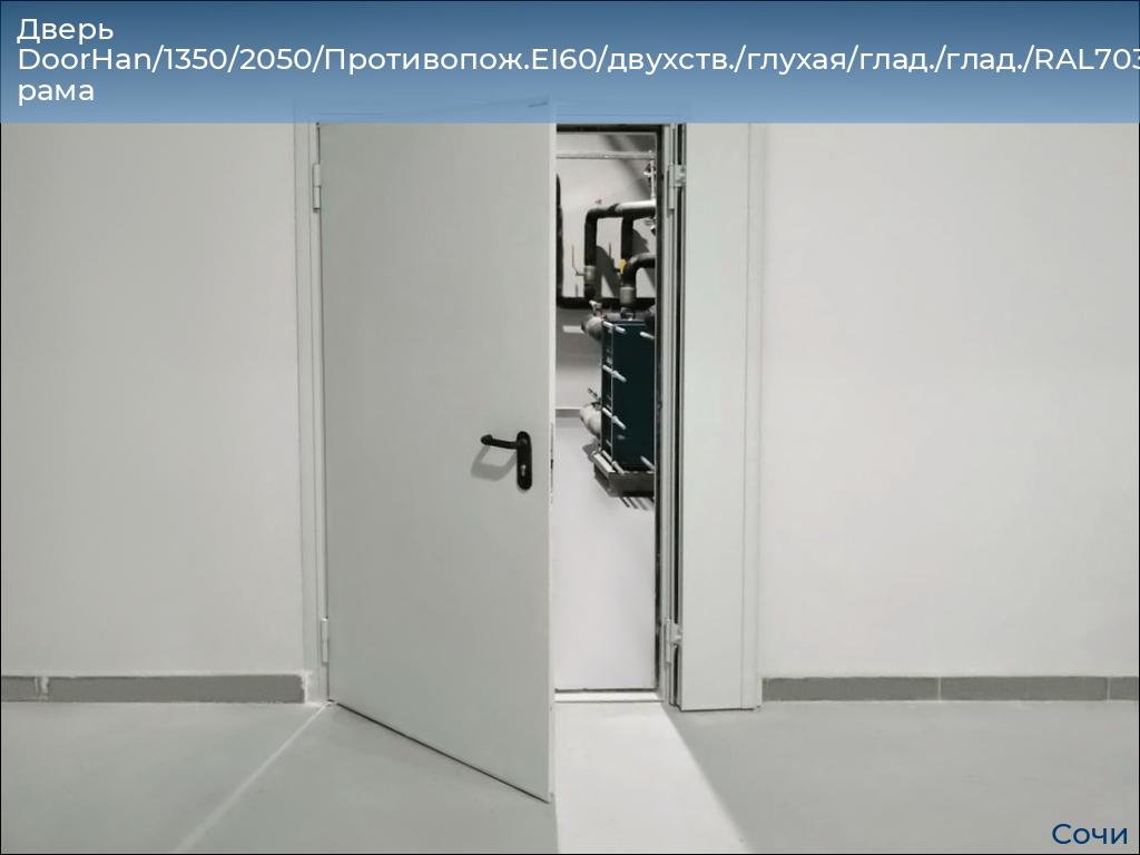 Дверь DoorHan/1350/2050/Противопож.EI60/двухств./глухая/глад./глад./RAL7035/прав./угл. рама, sochi.doorhan.ru