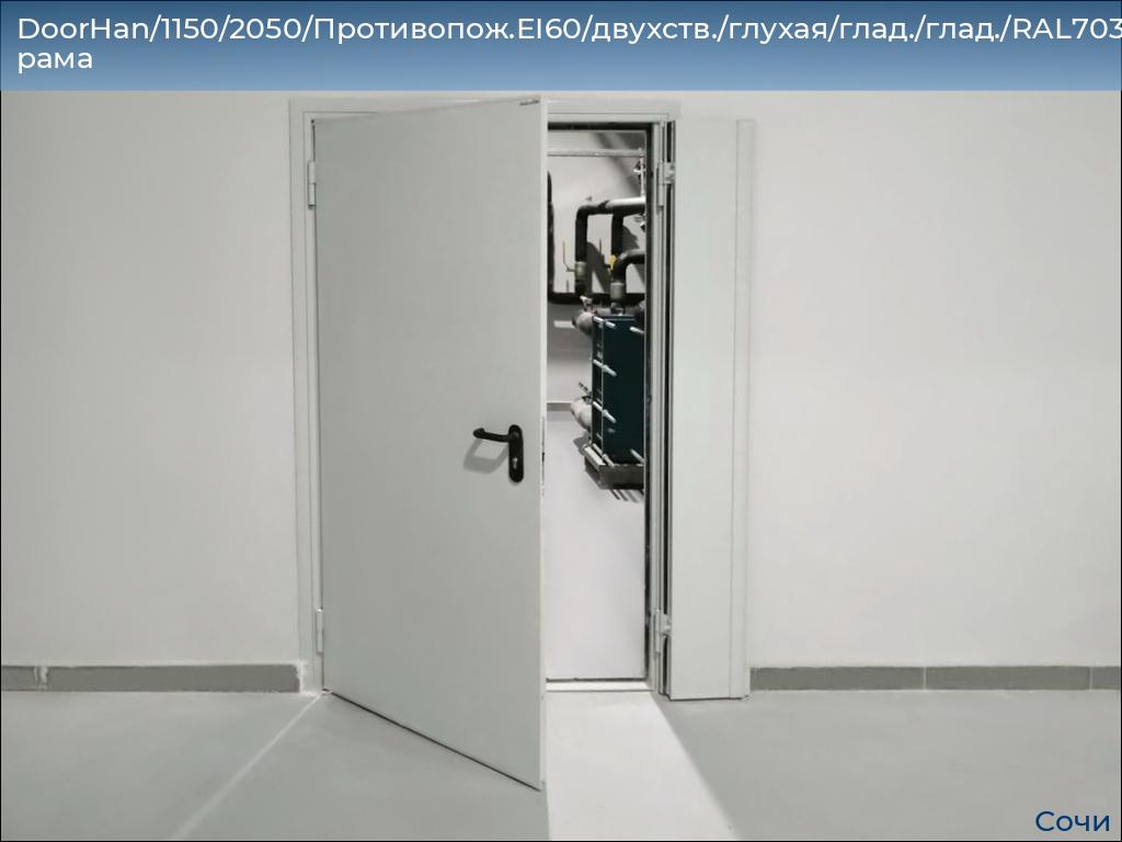 DoorHan/1150/2050/Противопож.EI60/двухств./глухая/глад./глад./RAL7035/лев./угл. рама, sochi.doorhan.ru