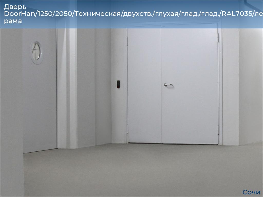 Дверь DoorHan/1250/2050/Техническая/двухств./глухая/глад./глад./RAL7035/лев./угл. рама, sochi.doorhan.ru