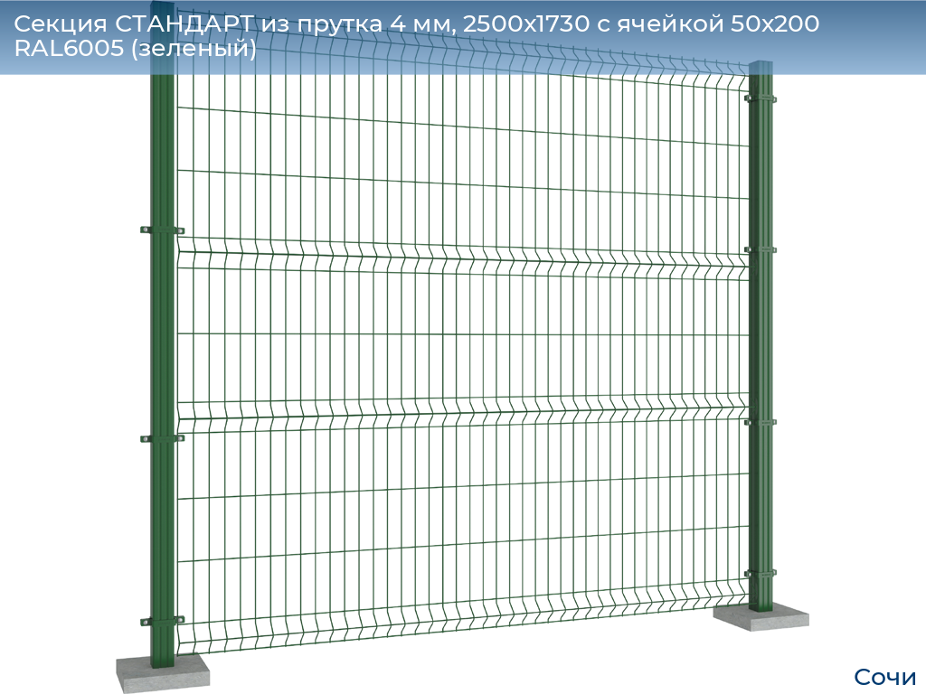 Секция СТАНДАРТ из прутка 4 мм, 2500x1730 с ячейкой 50х200 RAL6005 (зеленый) , sochi.doorhan.ru