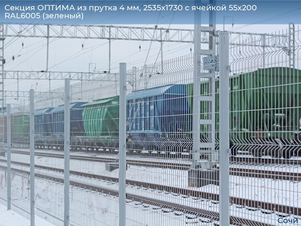 Секция ОПТИМА из прутка 4 мм, 2535x1730 с ячейкой 55х200 RAL6005 (зеленый), sochi.doorhan.ru