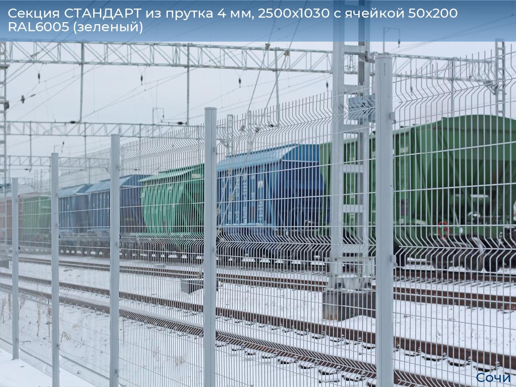 Секция СТАНДАРТ из прутка 4 мм, 2500x1030 с ячейкой 50х200 RAL6005 (зеленый), sochi.doorhan.ru