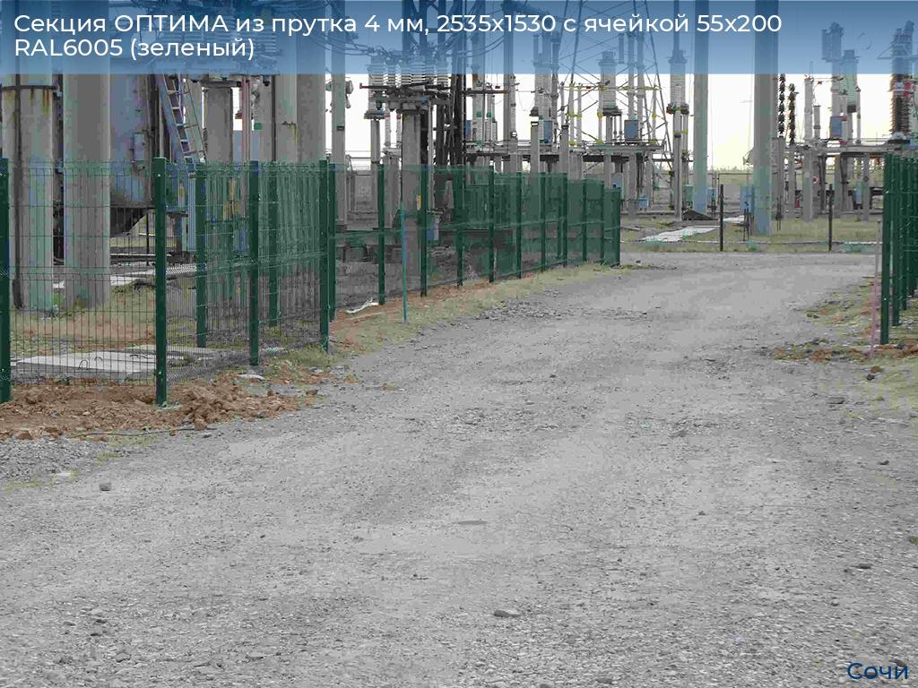 Секция ОПТИМА из прутка 4 мм, 2535x1530 с ячейкой 55х200 RAL6005 (зеленый), sochi.doorhan.ru