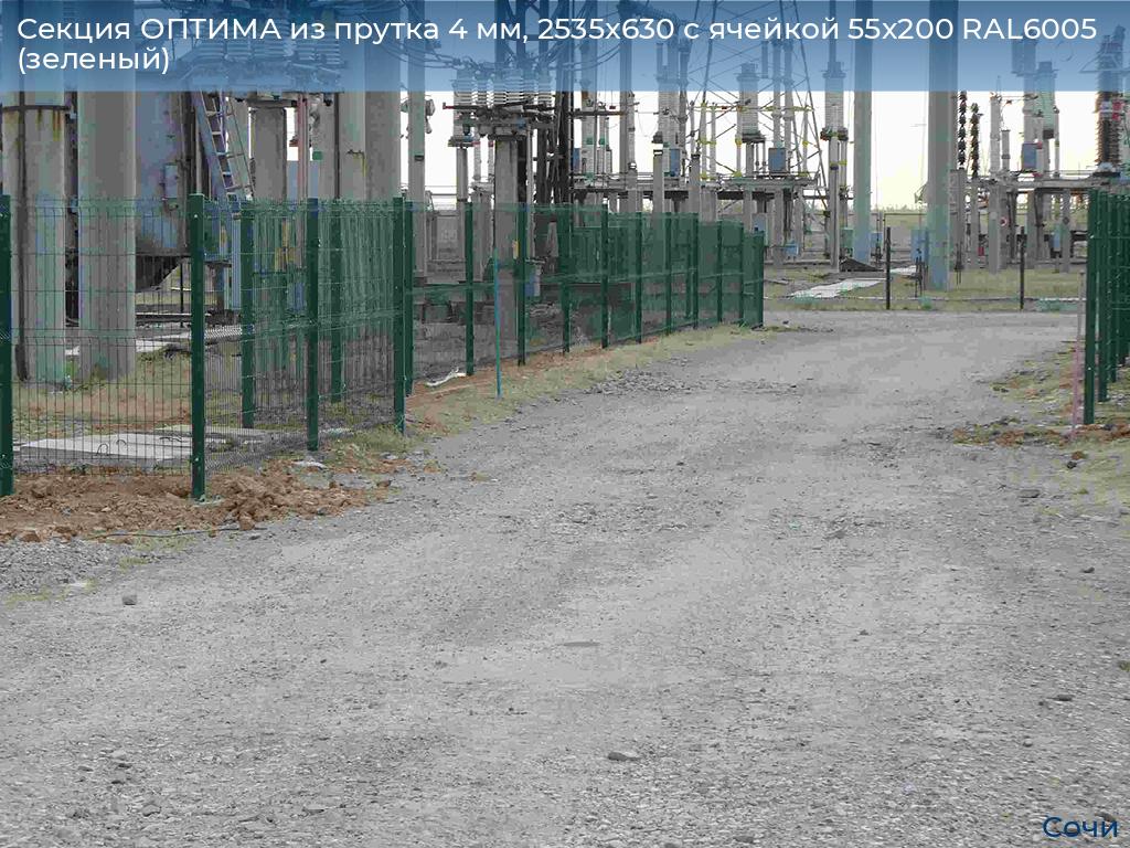Секция ОПТИМА из прутка 4 мм, 2535x630 с ячейкой 55х200 RAL6005 (зеленый), sochi.doorhan.ru