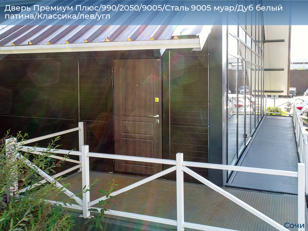 Дверь Премиум Плюс/990/2050/9005/Сталь 9005 муар/Дуб белый патина/Классика/лев/угл, sochi.doorhan.ru