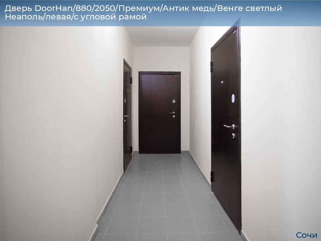 Дверь DoorHan/880/2050/Премиум/Антик медь/Венге светлый Неаполь/левая/с угловой рамой, sochi.doorhan.ru