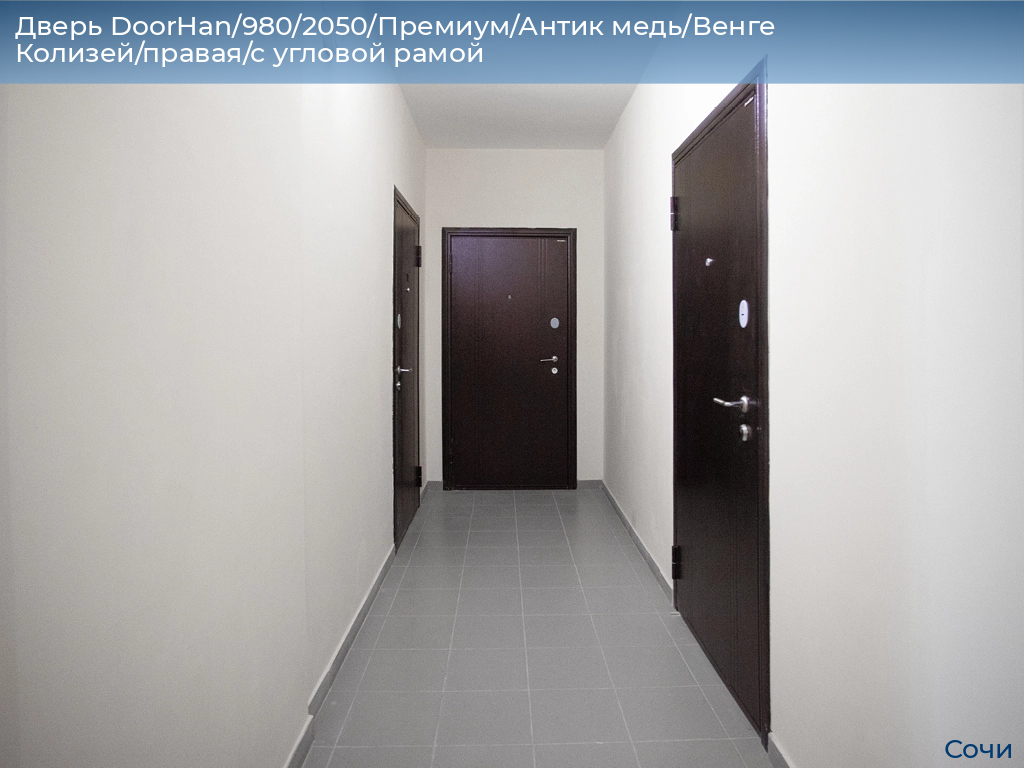 Дверь DoorHan/980/2050/Премиум/Антик медь/Венге Колизей/правая/с угловой рамой, sochi.doorhan.ru